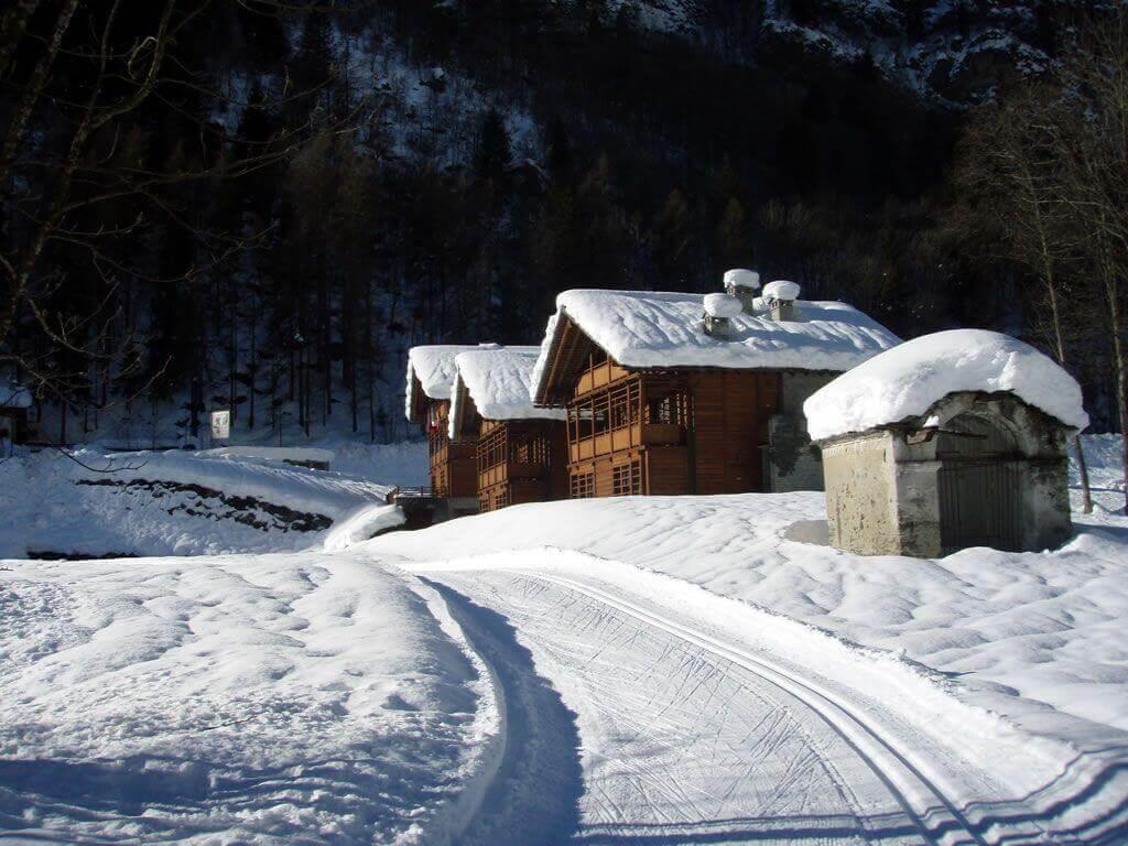 Cross Country Skiing
