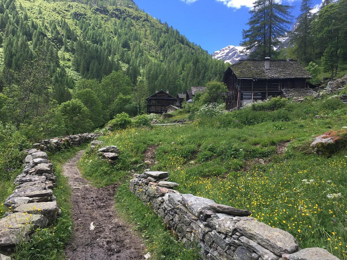 De la Val Vogna ensoleillée au lac de la Peccia